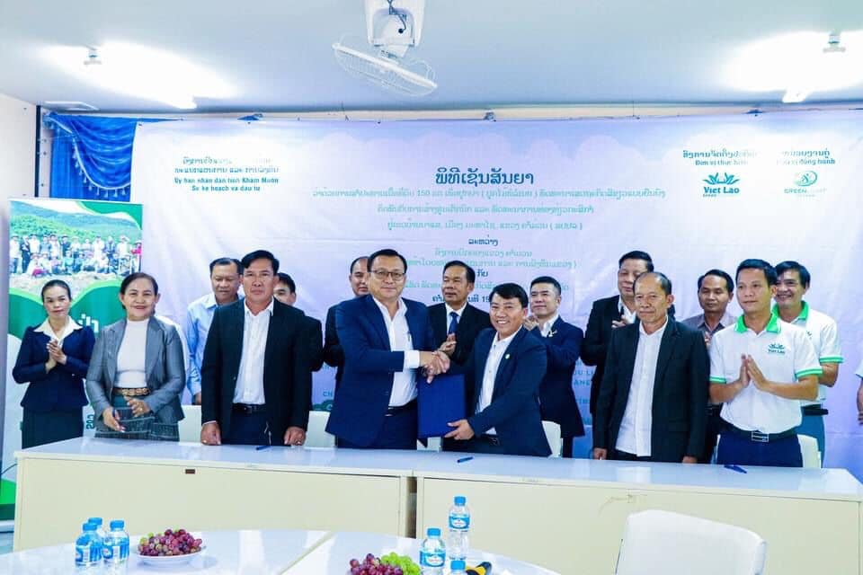 Doanh nghiệp Việt Nam đầu tư trồng gỗ Hông ở Lào