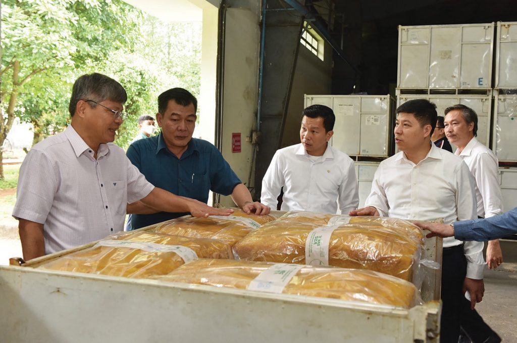 Các công ty cao su tại Lào: Có chiều hướng tăng trưởng tốt và ổn định