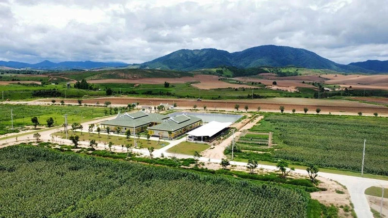 Lào hướng tới việc áp dụng thiết bị bay không người lái trong phát triển kinh tế