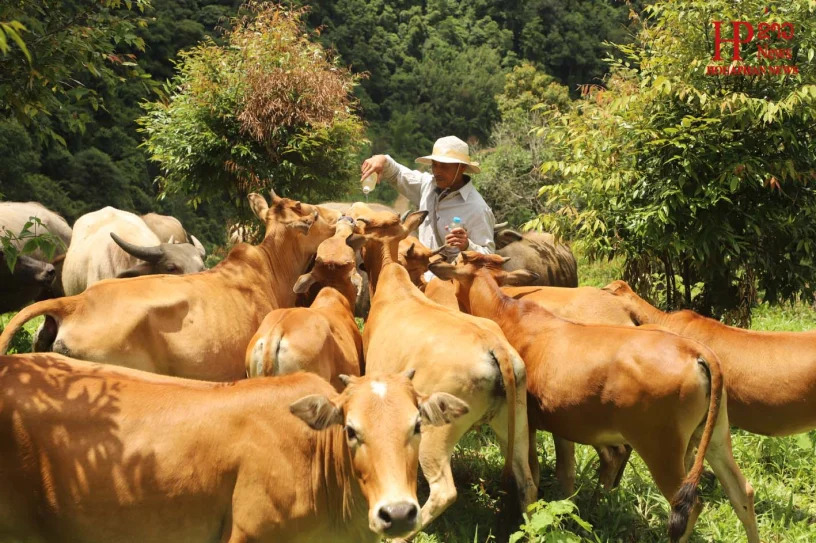Đại biểu Quốc hội chỉ ra nhiều bất cập trong phát triển nông thôn và giảm nghèo của Lào