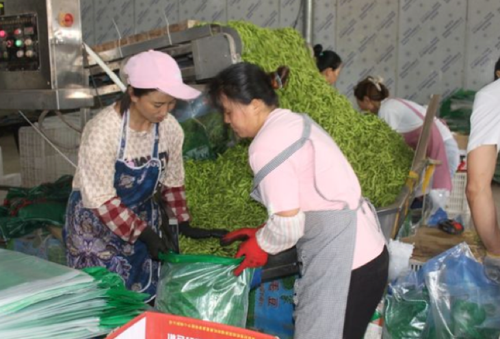 Lào phấn đấu hiện đại hoá ngành công nghiệp