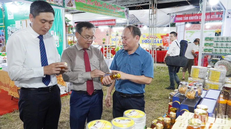 Hơn 200 doanh nghiệp của 3 nước tham gia hội chợ tại Quảng Trị ảnh 1