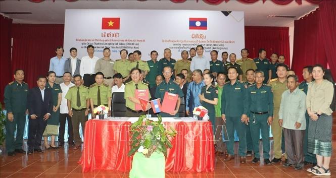 Việt Nam – Lào tăng cường hợp tác quản lý, bảo vệ rừng