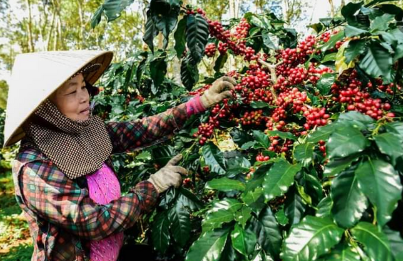 Ba mục tiêu xây dựng đến kinh tế độc lập, tự chủ trong giai đoạn mới từ nay đến 2026 của Lào