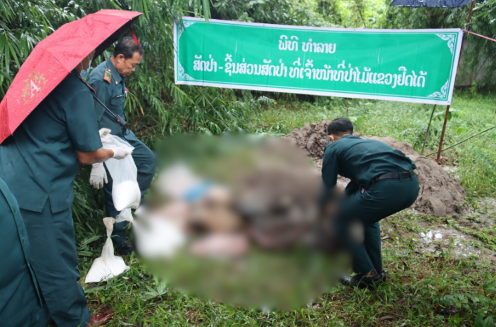 Tỉnh Bolikhamxay xử lý nghiêm hành vi buôn bán trái phép động vật hoang dã