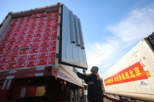 Gần 400 tấn chuối Lào được vận chuyển bằng đường sắt cập bến Bắc Kinh