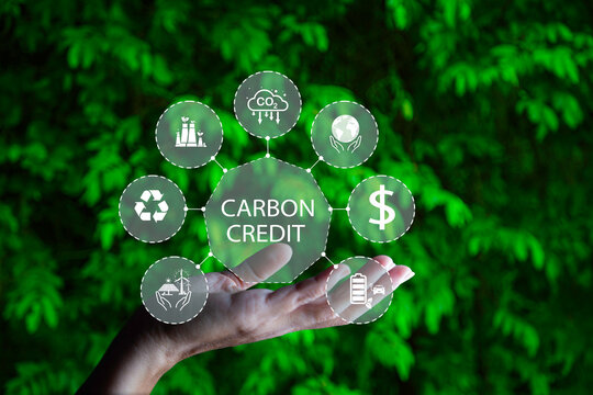 Nhật Bản quan tâm lĩnh vực kinh doanh tín chỉ carbon tại Lào