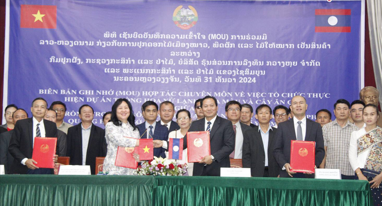 Doanh nghiệp Việt Nam đầu tư dự án trồng hoa xứ lạnh, hoa màu và cây ăn quả tại tỉnh Xaysomboun