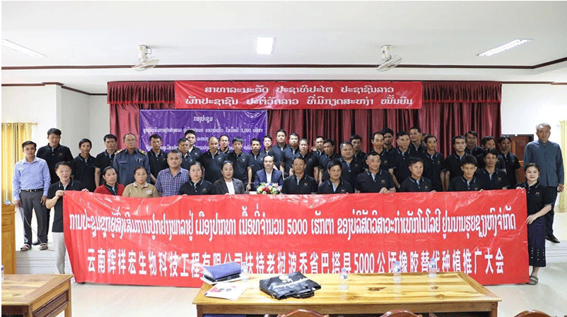 Lào và Trung Quốc hợp tác trồng 5.000 ha cao su trong 30 năm tại Bokeo