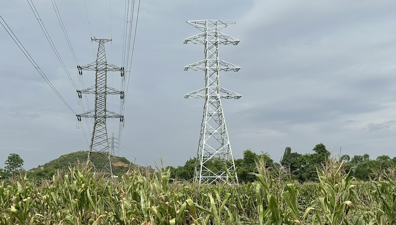 Tăng tốc thi công cụm dự án truyền tải phục vụ nhập khẩu điện từ Lào