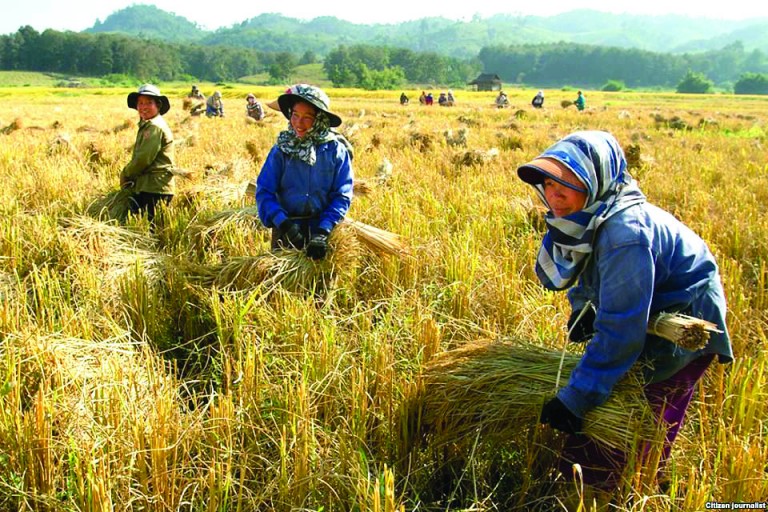 Lào xúc tiến xuất khẩu 50 tấn nông sản đầu tiên sang Brunei