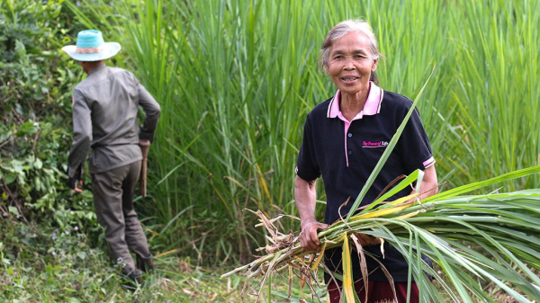 ADB tài trợ 65,8 triệu USD giúp Lào phát triển chuỗi giá trị nông nghiệp – thực phẩm bền vững
