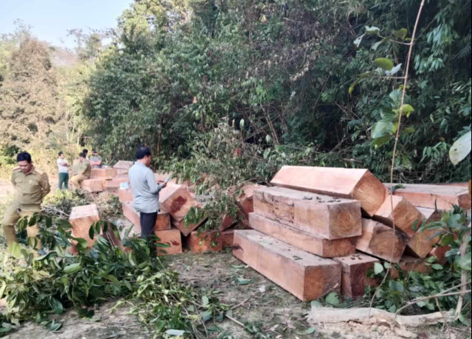 Lào chấm dứt xử phạt hành chính, bắt buộc truy tố hình sự các hành vi xâm phạm tài nguyên, môi trường