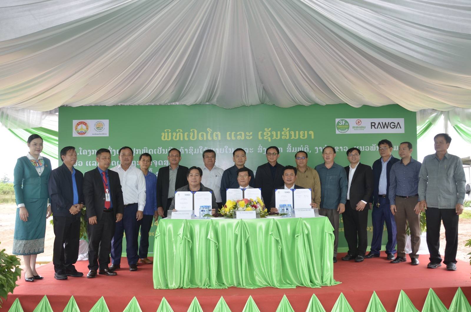 Lào đẩy mạnh trồng cây hoa Atiso đỏ, ký hợp đồng xuất khẩu sang Hàn Quốc