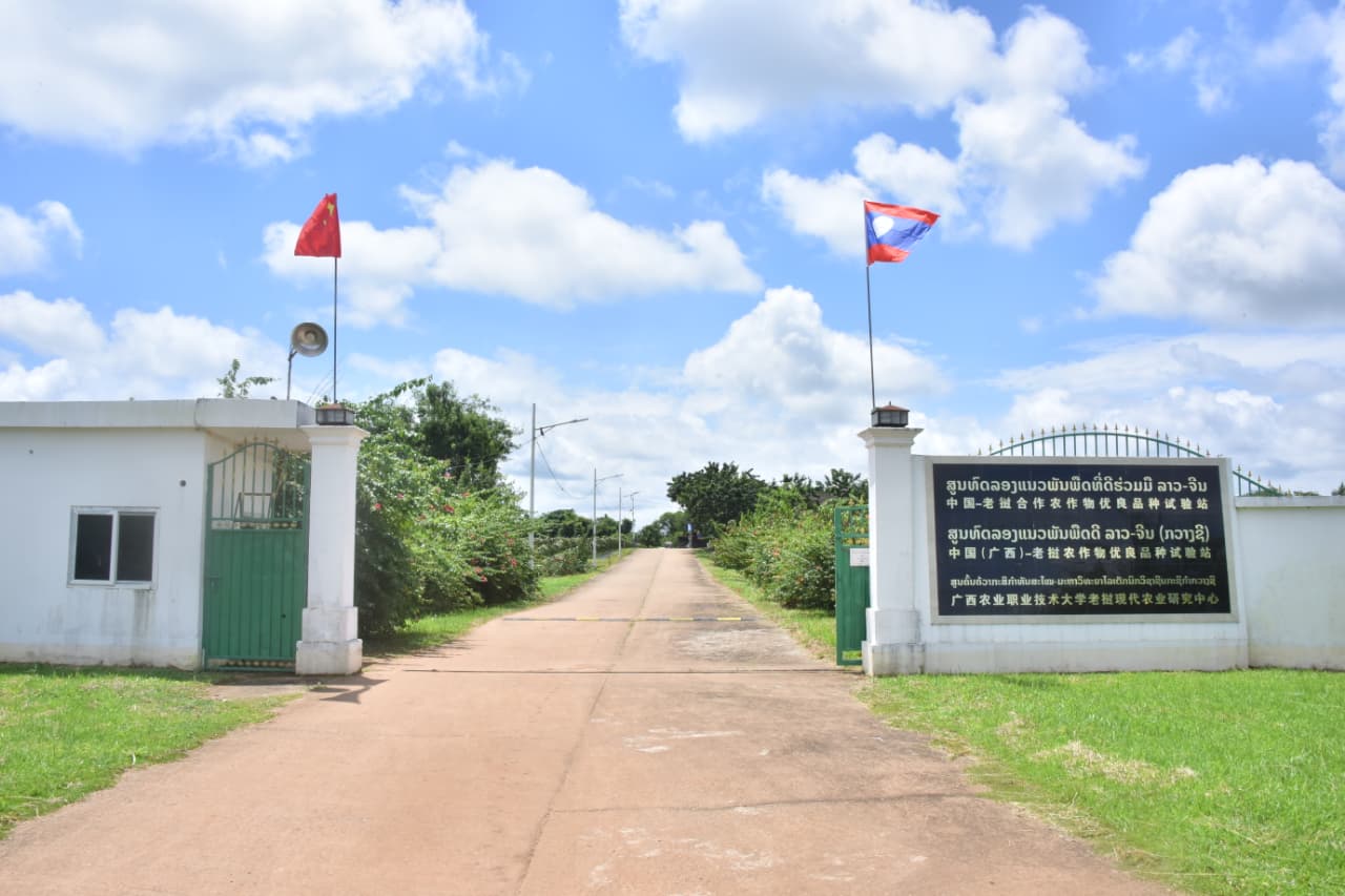 Lào – Trung hợp tác phát triển giống cây trồng, nâng cao an ninh lương thực