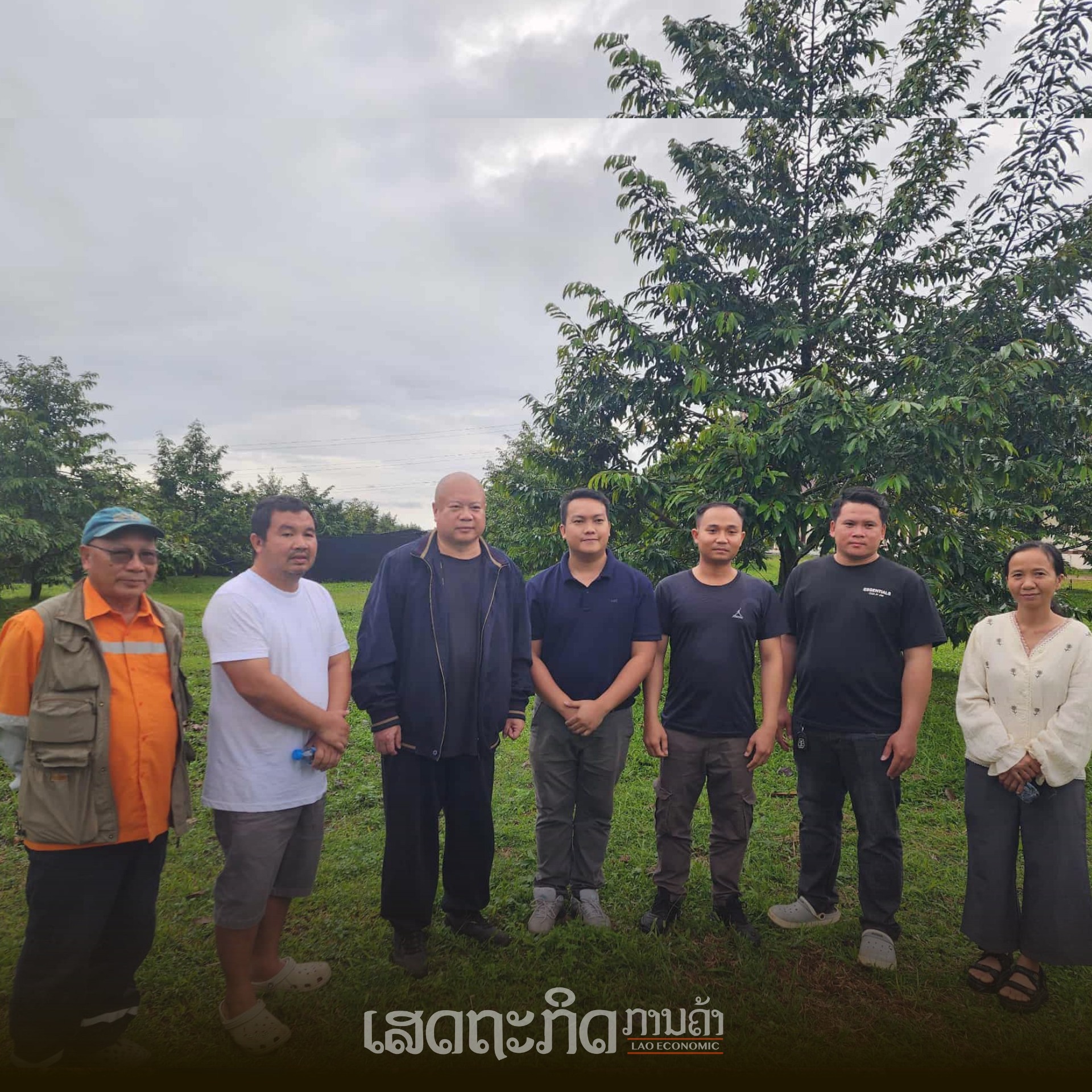 Lào – Thái tăng cường hợp tác phát triển sầu riêng