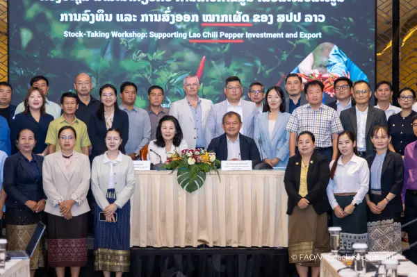 FAO hỗ trợ Lào phát triển chuỗi giá trị ớt, hướng tới thị trường quốc tế