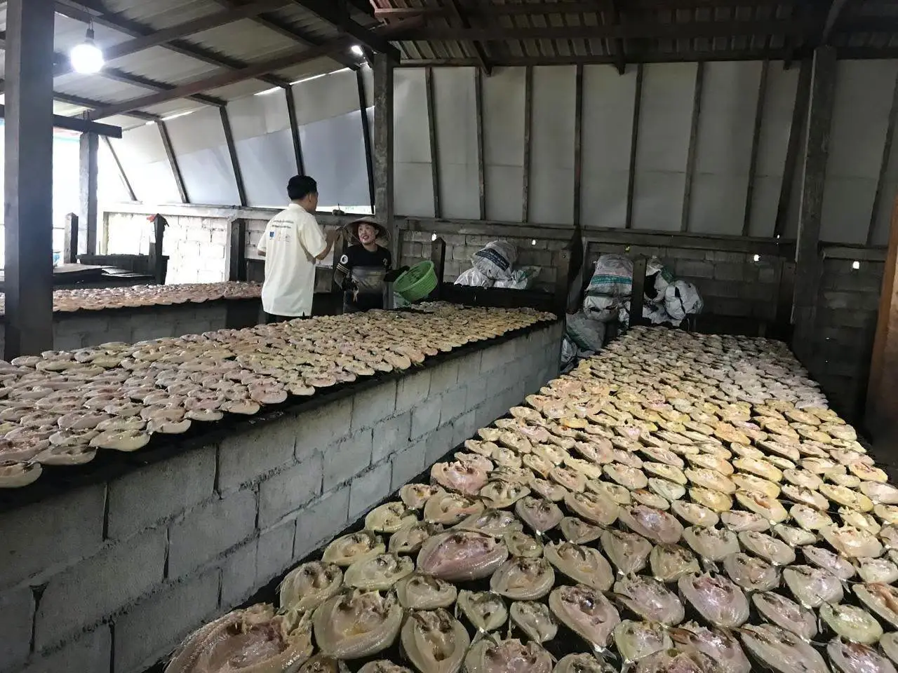Nghề làm cá khô mang về 200–300 triệu kip mỗi năm cho hộ dân ở Nakai, Khammuon