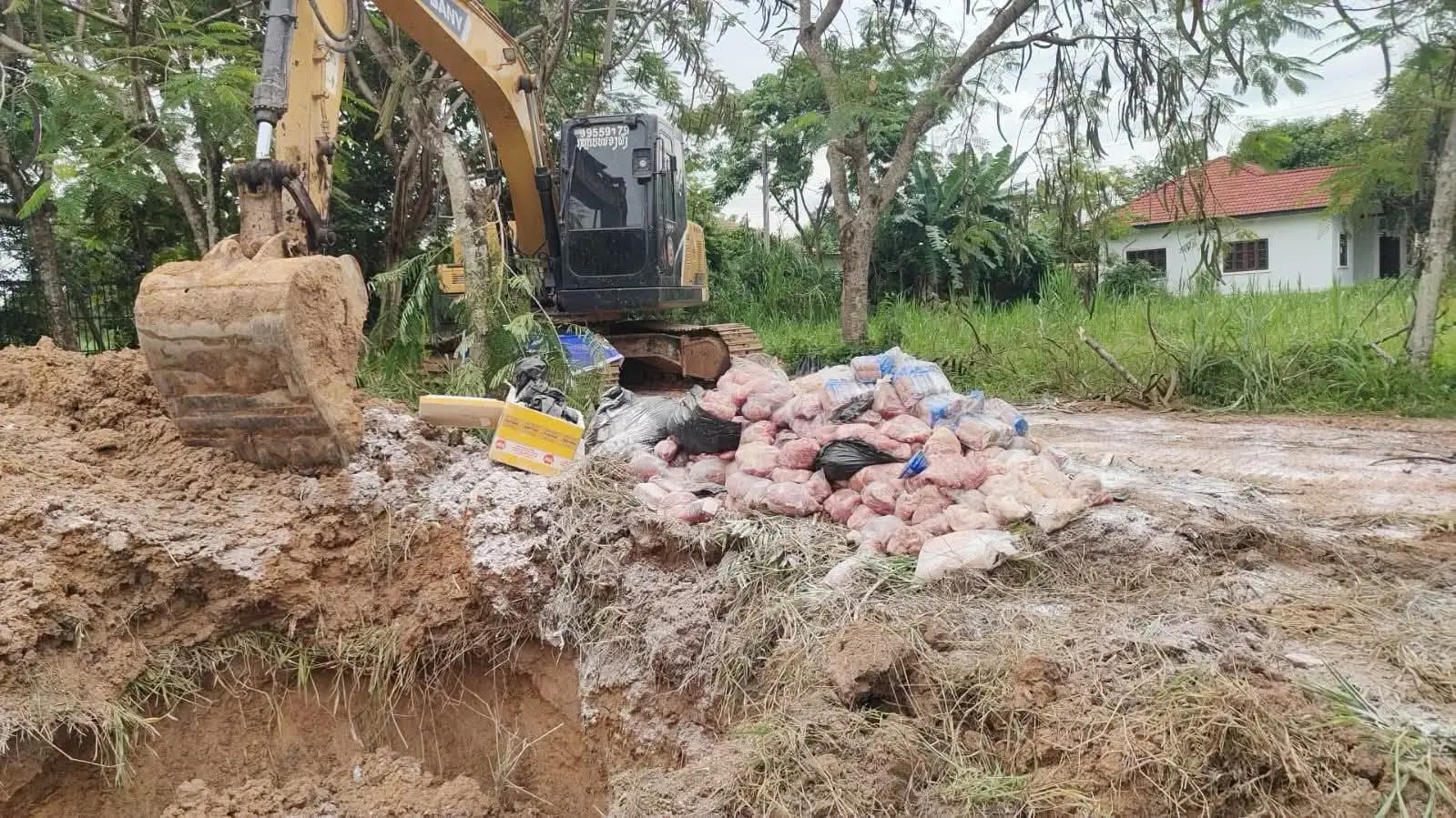 Lào tiêu hủy 685 kg thịt lợn nhập lậu từ Thái Lan