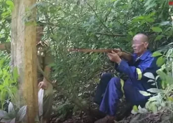 Luang Namtha: Đi săn, nhầm người là thú rừng rồi nổ súng khiến một người tử vong