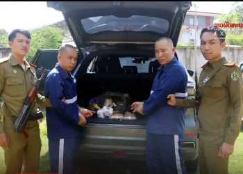 Lào bắt 5 nghi phạm, thu 100.000 viên ma túy tại Khammuon