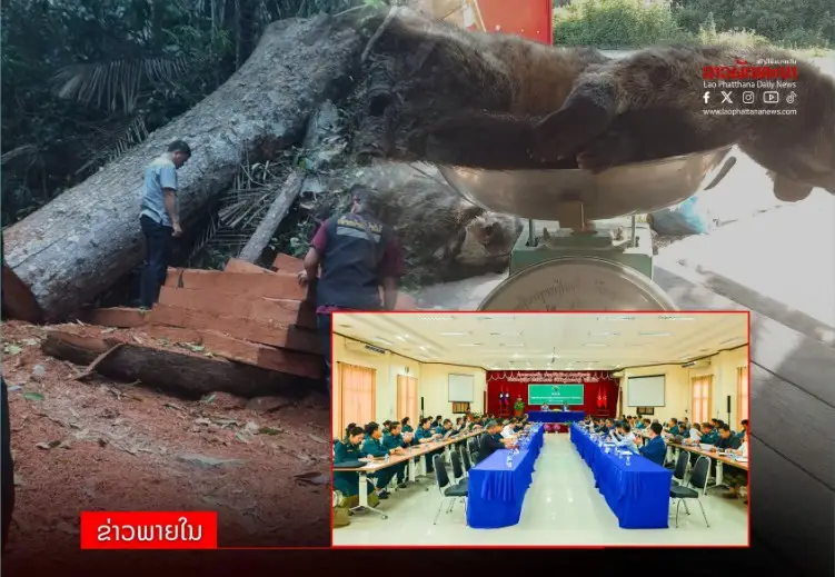Bắc Lào tăng xử lý phá rừng, khai khoáng và buôn bán động vật hoang dã